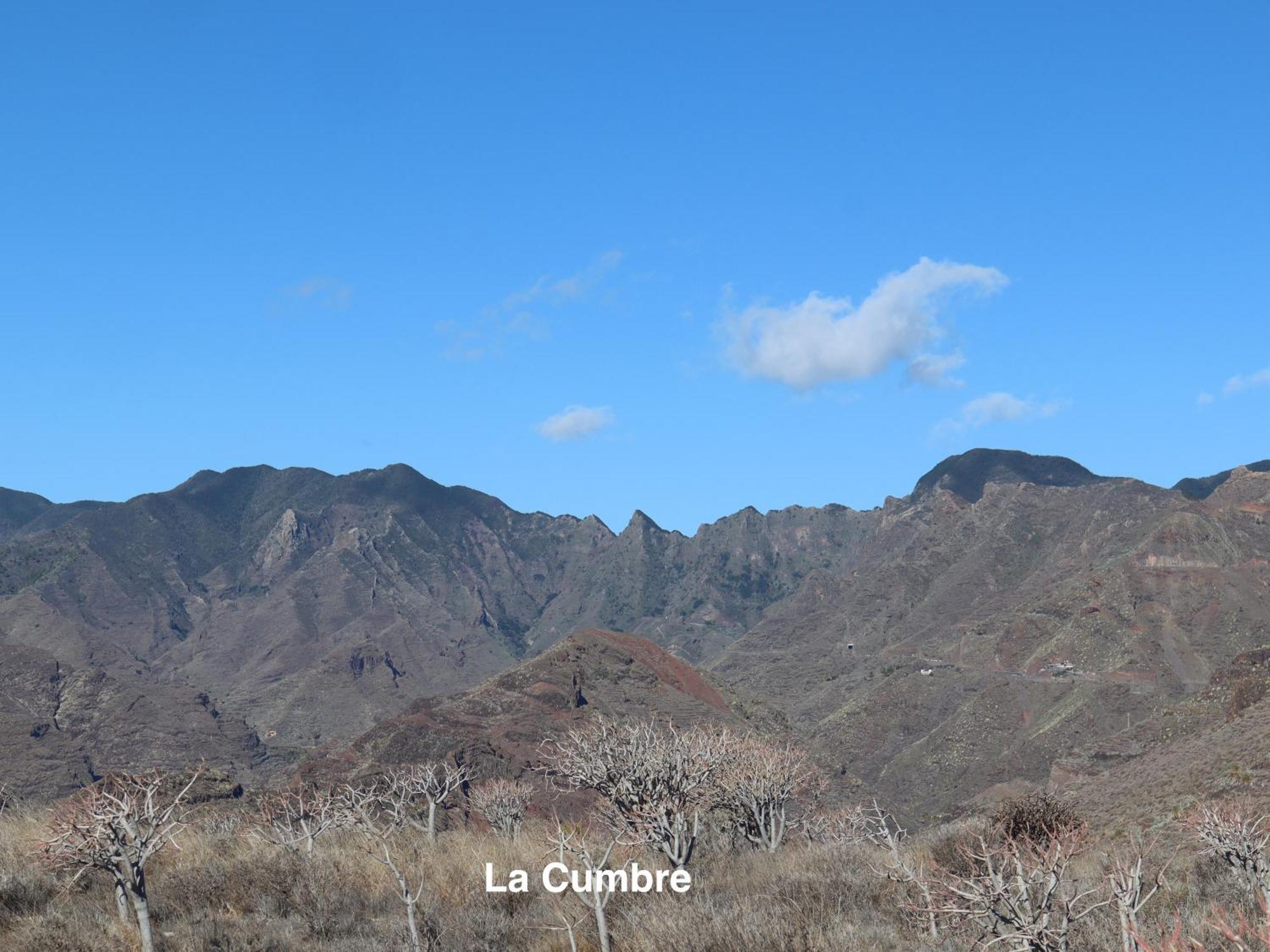 Vistas A Roques De Agando Appartement